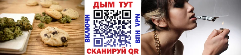 где купить наркотик  Шебекино  Еда ТГК марихуана 